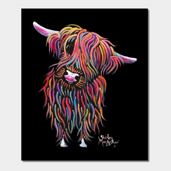 Scottish Highland Hairy Cow ' BoLLY '
